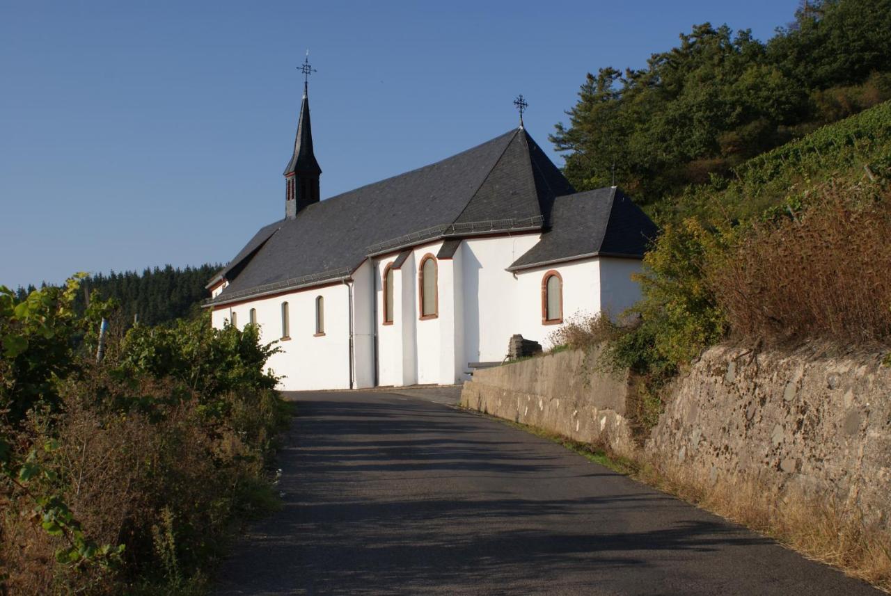 Mosel - River - Quartier 31 Lieser Exterior foto